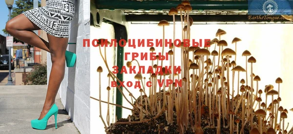 винт Осинники