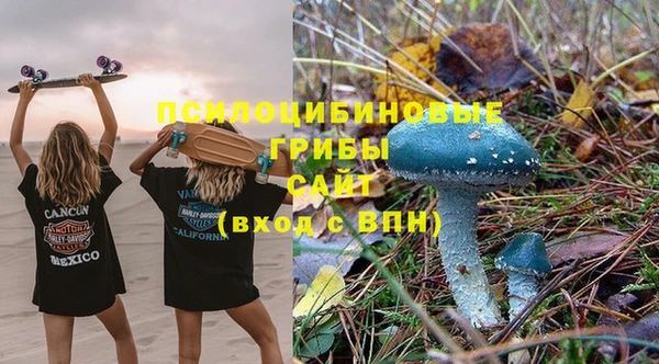винт Осинники